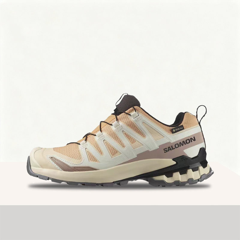 Salomon XA Pro 3D V9 GTX: A lo - Salomon Shoes Xa Pro 3D recension och pris