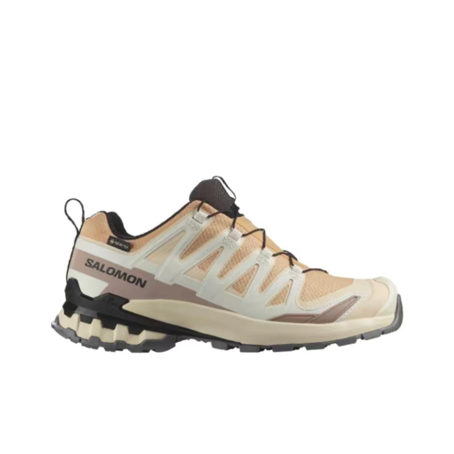 Salomon XA Pro 3D V9 GTX: A lo - Salomon Shoes Xa Pro 3D recension och pris